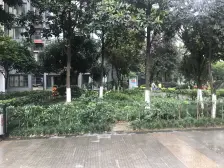 西城首座 1室1厅 东北