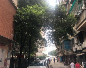 明珠苑3室2厅南北