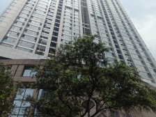 红鼎B 正规一室一厅 带生活阳台精装修