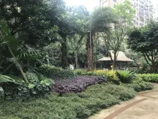 高新区兰花丽景精装三房