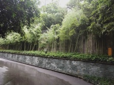 龙溪镇 君悦世纪二房71万