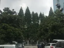 金桥·金桥新村***区·2室·1厅