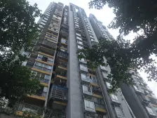 伟岸福缘尚城 3室1厅 东 南