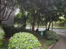 龙溪镇 君悦世纪一房75万