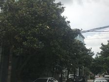 东边套三房。景观楼层,周围配套设施齐全。看房有钥匙