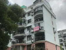 金泽苑+稀有复式+南北通+视野佳+采光好+随时可看+急售