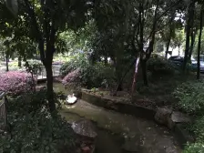 五红路 龙庭南天苑三房120万