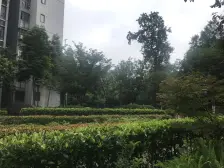 经典小户 双轻轨房 享1872配套 一街之隔