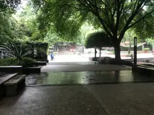 龙湖物业+3轻轨+星光+精装修拎包入住