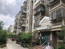 满5唯1,中间楼层和位置,全明南北通户型