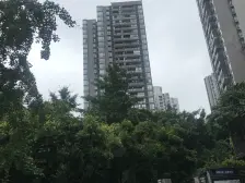 重庆一环冉家坝C位龙湖物业凤凰楼层正规两房急售
