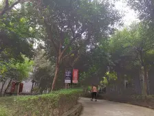 天梨路轻轨站楼上!刚需露台房!住家安静!出行方便!