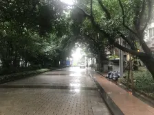 龙头寺 鲁能星城一街区三房125万