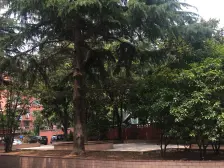 近地铁 随时看房 中间楼层 现场实勘 新上房源