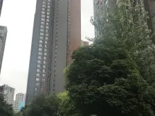 带初稿,简装两房两卫,中间楼层,视野好,安静朝中庭