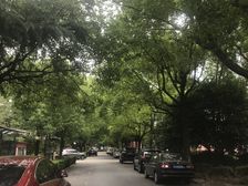 金泽苑一期+南北大两房+位置安静不靠路+随时看+诚意售