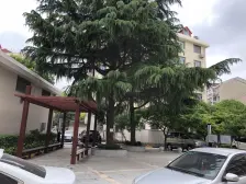 凌兆新村(凌兆路530弄) 3室1厅 南 北 东