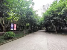 天星桥 天福景苑二房61.8万