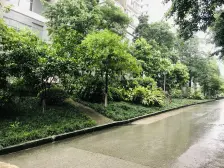 杨家坪西城镜园大平层 你值得拥有