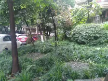 众科天一阁 1室1厅 东南