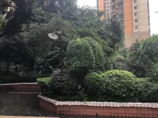 奥体双轻轨 电梯4房 190平 168万