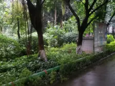 北滨路 尚立锦绣北滨二房100万