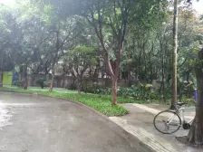 300平露台,随时看房,业主急售,大三房双卫,南北通透,金科