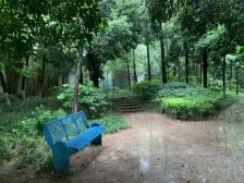 万达旁 精装三房 拎包入住 婚房可选