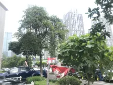 汽博中心 汽博大厦一房38万