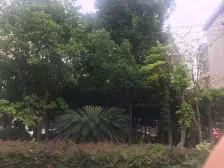 通河 · 共江花苑 · 3室 · 2厅