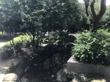 渝北农业园区 成熟区域 住家精装大两房带家电一起出售