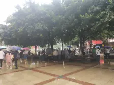 (树)人,住家装修,可拎包入住,业主安心卖