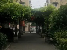 天井已搭,东边户,全明户型,得房率高