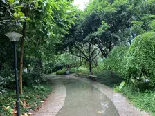 南方苹果派二期 2室1厅 西南