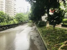 动物园旁公务员小区精装大四房带屋顶花园