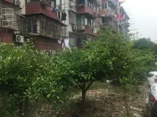 通河·共江花苑·1室·1厅