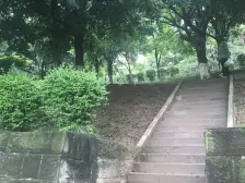 龙溪镇 花卉好望阁一房42万