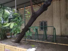 楼层好,视野宽阔,采光充足,配套齐全,交通便利