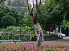 公交房 轻轨房 出行便利 精装修