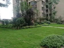 精装三房双卫,住家安静,配套齐全,诚心卖