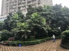 此户型方正,近轻轨,配套齐全,诚心出售。