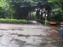 北滨路 正规三房 无非税东南看江视野 , 采光好。