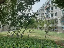 莲花新村五区 1室1厅 南