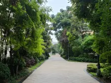 长生桥轻轨站精装修洋房带露台南北向