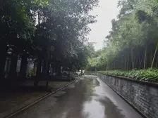 龙溪镇 君悦世纪二房