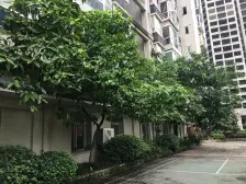 九宫庙 阳明商都三房81万