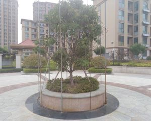 世园片区多层洋房,环境优美,配套齐全,业主诚售