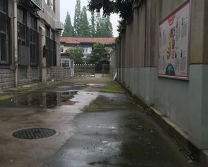 神仙树6号院1室1厅东南