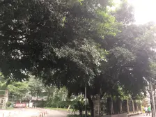 渝北 布丁HOUSE 1室0厅