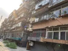 双新楼 1室1厅 南